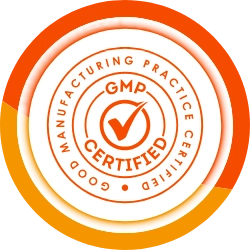 gmp certified icon design illustration good manufacturing